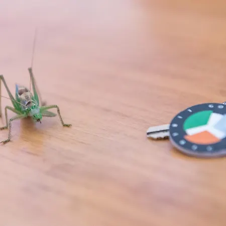 هاوسبواتي يبسيلون غولف ليبيريتش 3*